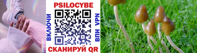 Псилоцибиновые грибы мухоморы  Купить закладки  Кировск 